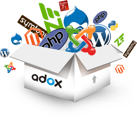 Web/Application Development